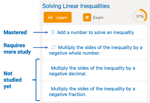 Slonig diagnoses learning gaps in real time